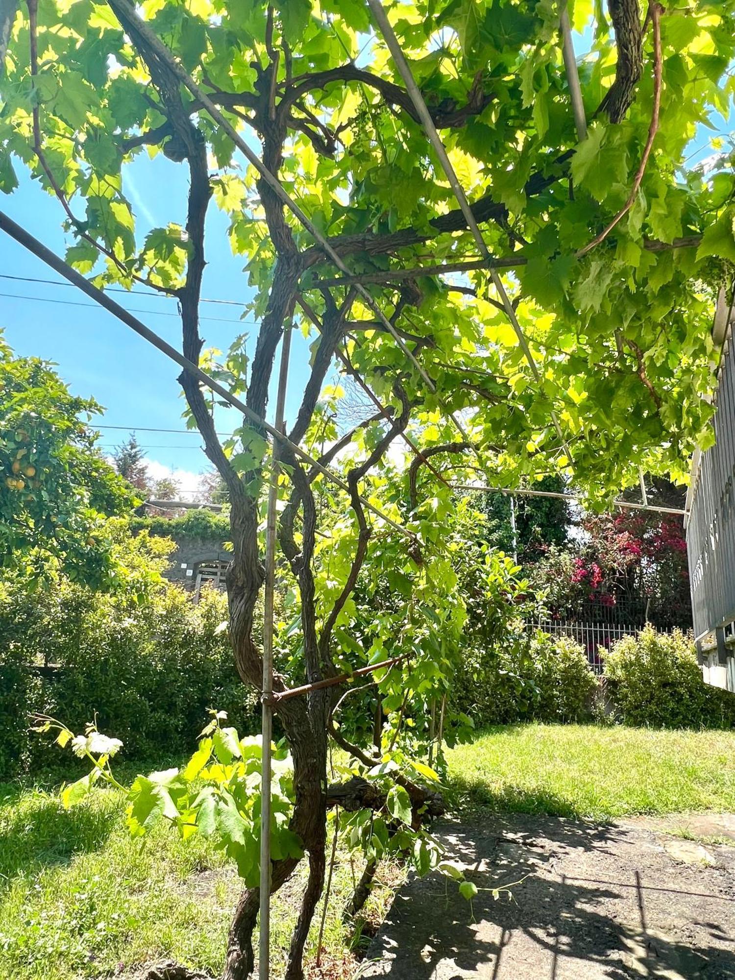 Casa Vacanze "Sautufao" Santa Venerina Exterior foto